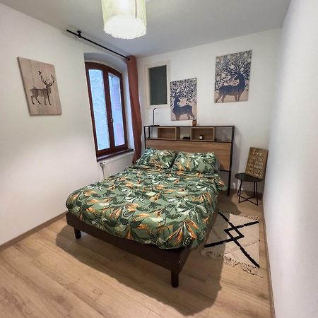 Briançon T2 Centre Ville Proche Des Pistes מראה חיצוני תמונה